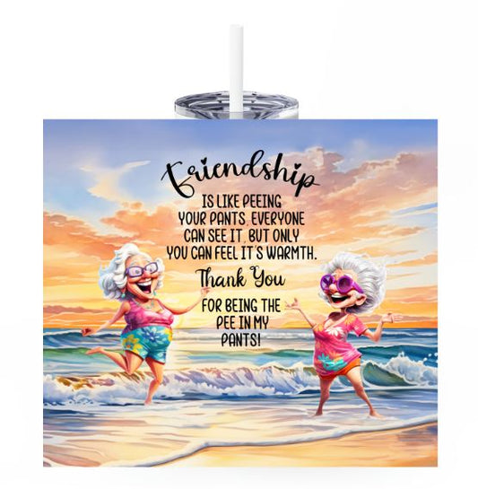 Friendship 20oz Tumbler